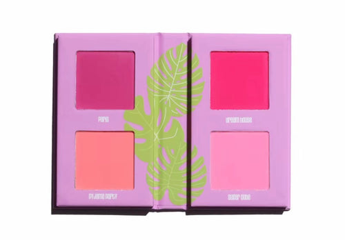 Mini blush Book