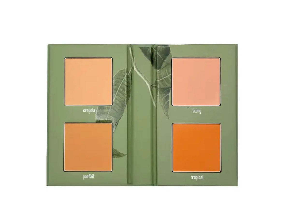 Mini blush Book