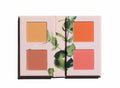 Mini blush Book