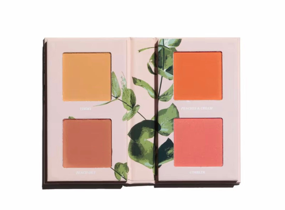 Mini blush Book